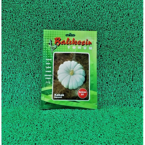 BAL KABAĞI (ARICAN 97) TOHUMU 25GR